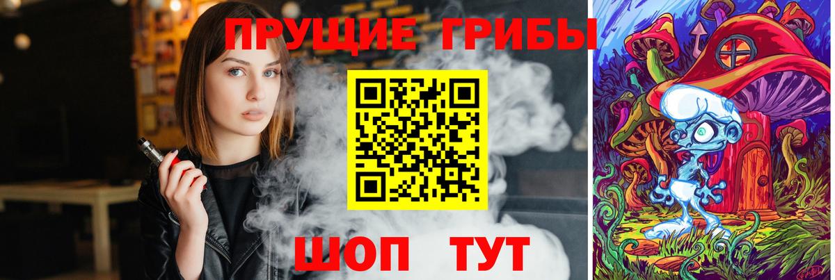 Избербаш  Псилоцибиновые грибы Magic Shrooms  Вход с VPN 